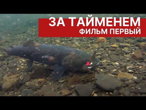 Видео: За тайменем в Хабаровский край. Фильм 1. Подготовка к рыбалке