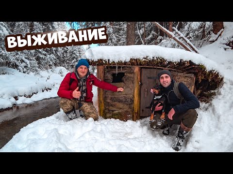 Видео: Выживание в Горах в Каменном домике. Учу Виталика зеленого выживать.