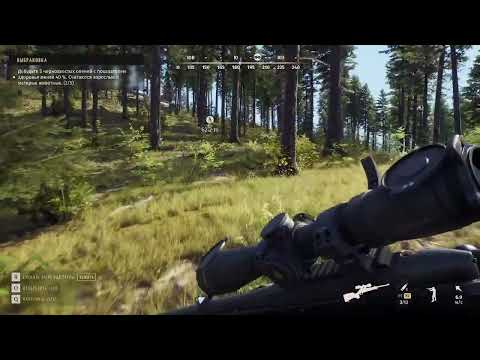 Видео: |Охота и выбраковка|