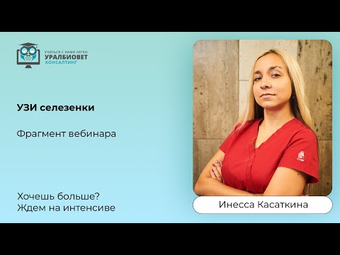 Видео: Фрагмент вебинара "УЗИ селезенки" с Инессой Касаткиной