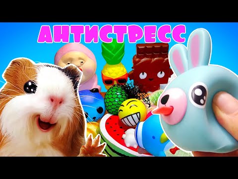Видео: ДОСТАВУЧИЕ АНТИСТРЕССЫ - Бузя и Кузя Распаковка Антистрессов - Свинка Бузя Челлендж
