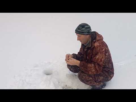 Видео: Февральский хариус. Бросил буран в тайге!