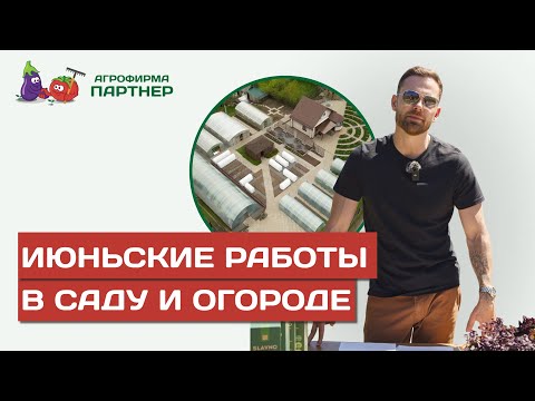 Видео: ИЮНЬСКИЕ РАБОТЫ В САДУ И ОГОРОДЕ: КАК ПОЛУЧИТЬ БОГАТЫЙ УРОЖАЙ