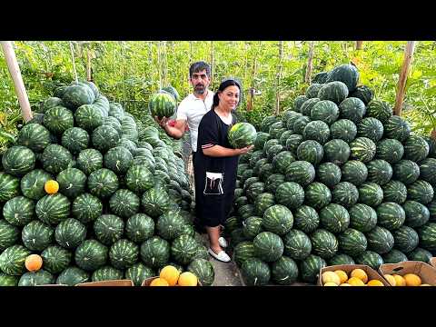Видео: Невероятная деревня кулинария: курица, приготовленная внутри арбуза!