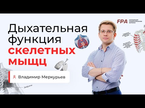 Видео: Дыхательная функция скелетных мышц | Владимир Меркурьев (FPA)