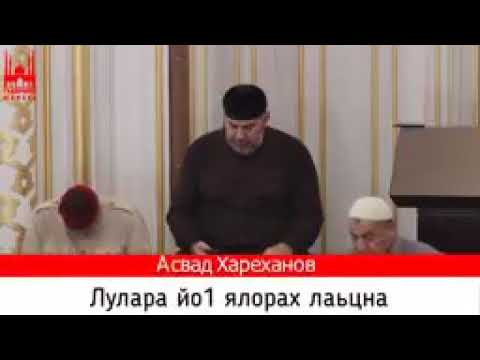 Видео: Лулар йо1 ялор?
