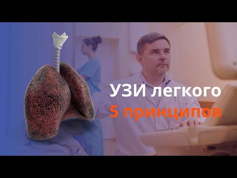 Видео: УЗИ легкого. Лекция 1. 5 принципов ультразвуковой диагностики легкого