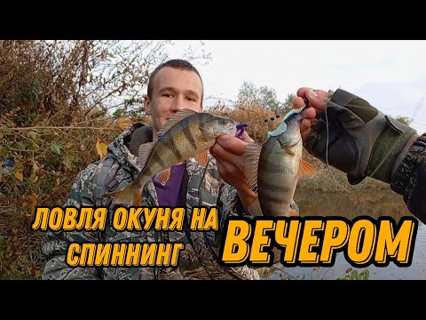 Видео: Ловля окуня на спиннинг вечером.