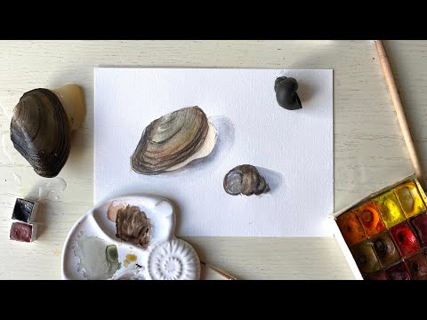 Видео: Перловица речная. Пишем акварелью поэтапно