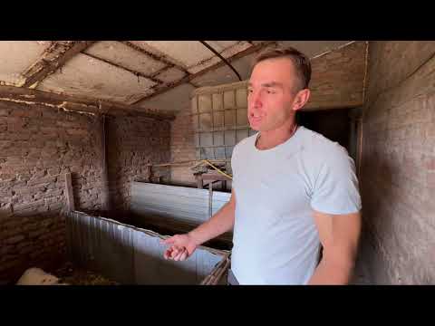 Видео: Нарешті приріст нутрій!