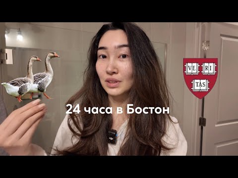 Видео: 24 часа в Бостон