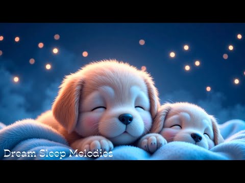 Видео: Исцеляющая музыка для глубокого сна 🌌 — Расслабляющее фортепиано 🎹 от переосмысления и стресса