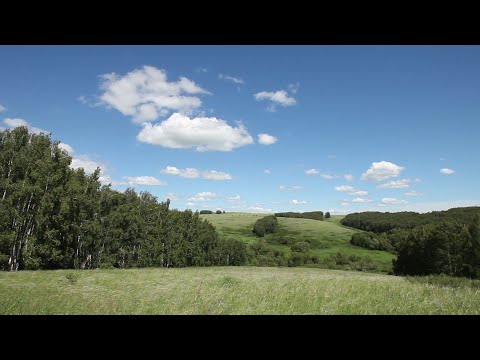 Видео: Летопись Оренбуржья. Шарлыкский район