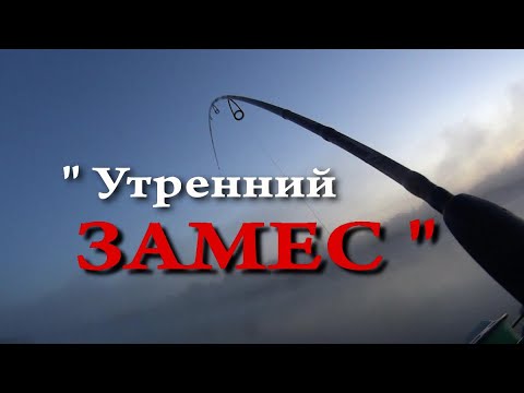 Видео: Ловля на Волкеры.  Утренний " ЗАМЕС " !!!