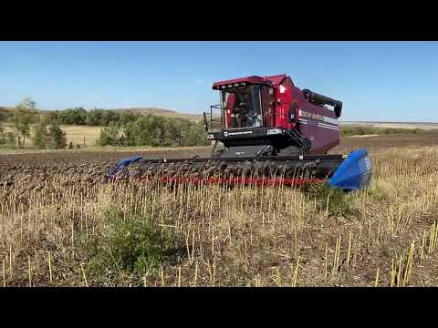 Видео: Жатка Harvester 8400, безрядковая Жатка для Подсолнечника.