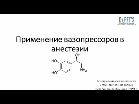 Видео: Применение вазопрессоров в анестезии