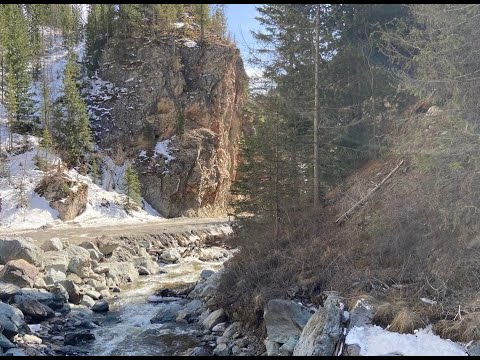 Видео: Весна в Горном Алтае 2024. Перевалы Семинский, Чеке-Таман, Кату-Ярык. Цветение Маральник. Часть 2.