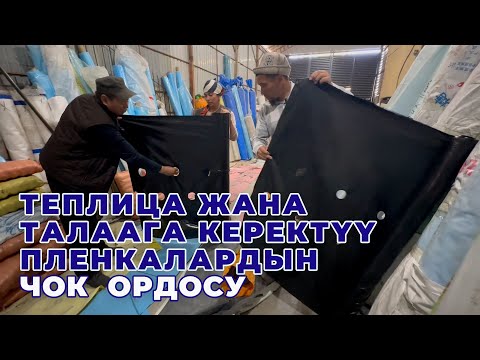 Видео: Сапаттуу жана арзан пленкалар ушул жакта! Айырмачылыктарын төкпөй-чачпай айтып беришти
