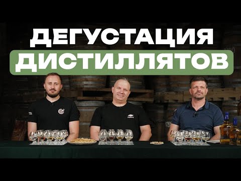 Видео: Дегустация дистиллятов ALVISA WHISKY!