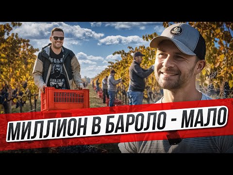 Видео: Делаю лучшее вино Италии — Бароло. Авторский проект винодела Игоря Пушкасу
