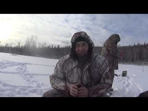 Видео: Богучанское водохранилище. Сибирские щуки по перволёдью рвут поводки, снимают живца !!!