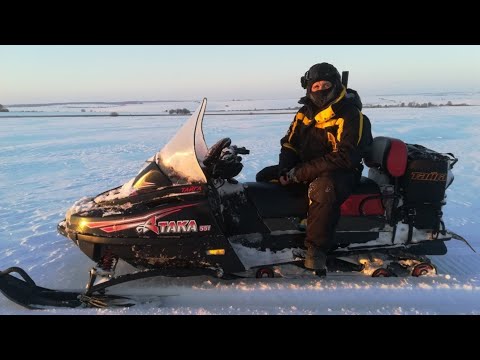 Видео: Тайга Атака. Снегоходный сезон 2021. Зимняя подкормка кабанов. Ищем Волков.
