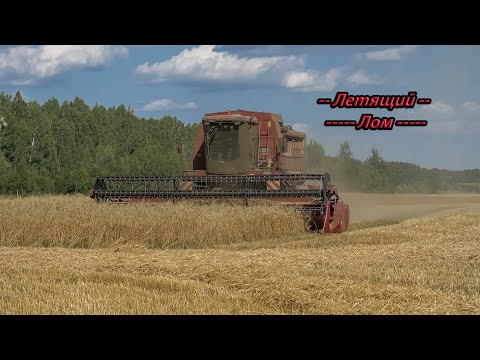 Видео: Зерноуборочный комбайн Лида-1300! Урожай зерновых 2021!