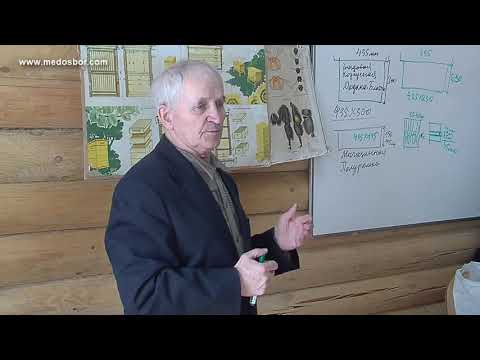 Видео: Кашковский  о ульях Рут многокорпусных