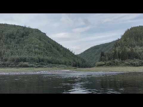 Видео: Четверо на реке...
