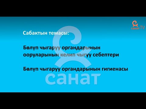 Видео: Биология 8 класс 47 сабак