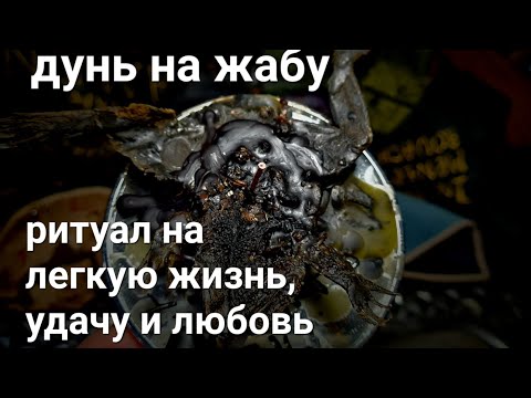 Видео: Ритуал 2 из 9. На легкую работу, дорогу, любовь, дела. От лярв, зависти, крадников. Дунь на жабу
