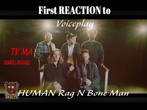 Видео: ERT MER GERT — ещё один хит от VoicePlay. HUMAN Rag N Bone Man a capella с Энтони Гарджулой