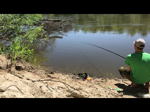 Видео: ВОТ ЭТО ДА! Много УКЛЕЙКИ в метре от берега! Как ловить уклейку на реке. Рыбалка на Мокше. Поплавок
