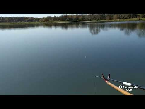 Видео: "Исыкуль" 6.11.2019