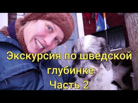 Видео: Экскурсия по шведской глубинке,  Деревня Skattungbyn,   Часть 2