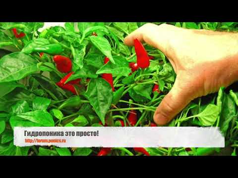 Видео: 🌱 Калькулятор для гидропоники 🌱 Часть 2 Микро комплекс, Концентраты, Моно растворы