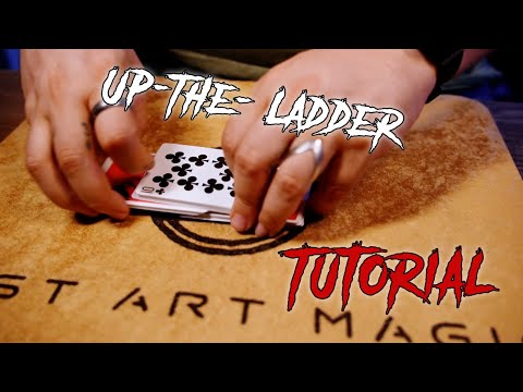 Видео: Учебное пособие по вырезанию фальшивого стола «Вверх по лестнице» (урок среднего уровня)