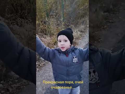 Видео: ♥️Осень 2024