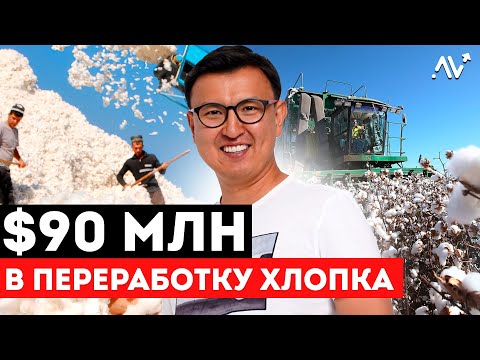 Видео: ХЛОПОК – Белое ЗОЛОТО Узбекистана. В КАКОМ состоянии отрасль? Большой обзор