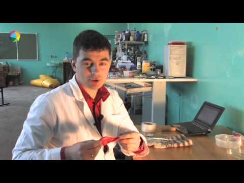 Видео: Давай,наука! Статическое электричество.