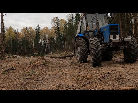 Видео: Лесозаготовка от А до Я. Весь процесс работы.