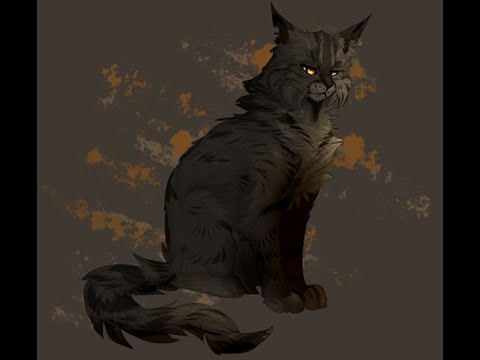 Видео: История жизни Звездолома. ( По просьбе Лунной Воительницы) СОРИ, ЧТО МЕНЯ ДОЛГО НЕ БЫЛО!!!!