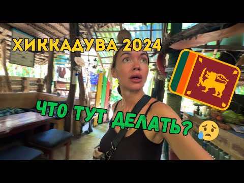 Видео: Необычные Отели, Еда, Океан и странный Кокос ШРИ ЛАНКА 🇱🇰 2024