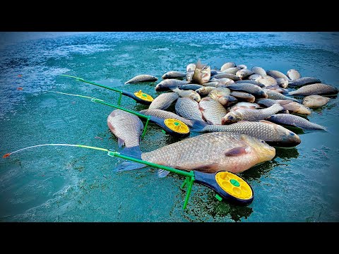 Видео: Ловля Зимнего КАРАСЯ со ЛЬДА!!!