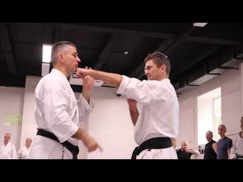 Видео: Годзю рю каратэ - принцип "Достаточности" в защите