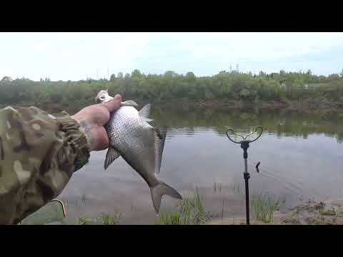 Видео: ПЕРВАЯ ВЕСЕННЯЯ РЫБАЛКА на Оке! 🎣 Новое Место для УЛОВА!