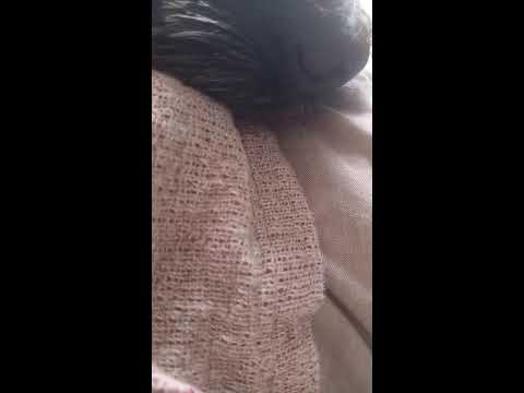 Видео: Марта Добрая  в прямом эфире!