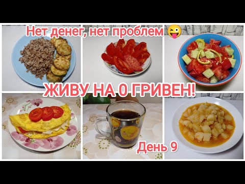 Видео: ЖИВУ НА 0 ГРИВЕН!!! День 9 