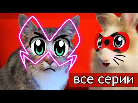 Видео: ЛЕДИ БАФ И СУПЕР КОТ МАЛЫШ - ЛУЧШИЕ СЕРИИ! КРОЛИК БАФФИ И КОТ МАЛЫШ ИГРАЮТ в LadyBug and Cat Noir