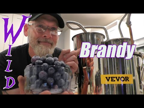 Видео: 🍇Обзор виноградного бренди из дикого мускатного винограда + перегонного куба VEVOR!